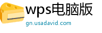 wps电脑版